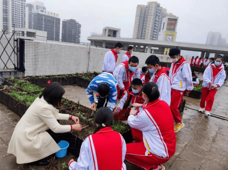 清远市新北江实验学校图片