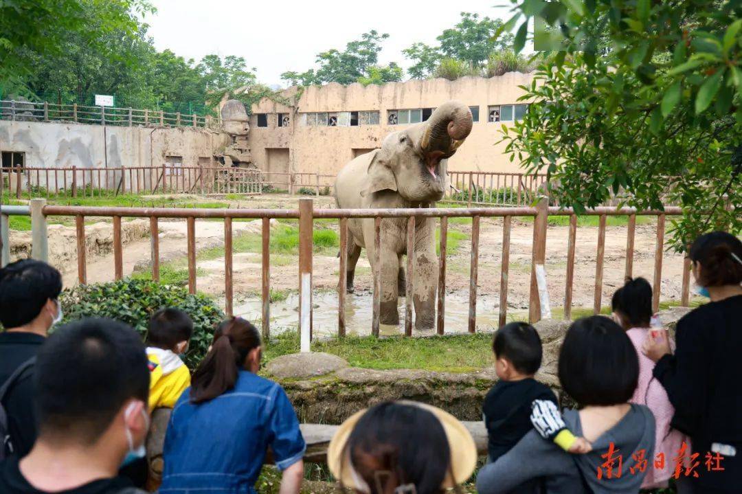 南昌明確了!改擴建動物園,改造303個老舊小區……_計劃_整治_城市