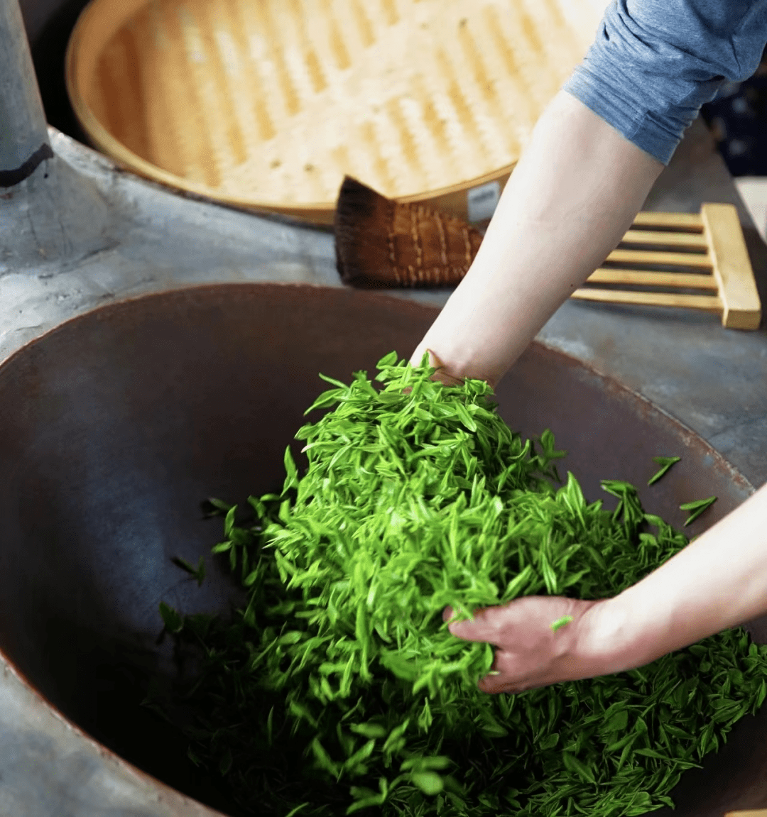 走,去西河体验"一芽一叶一抹香,一人一篓采茶忙金刚台西河旅游_茶叶
