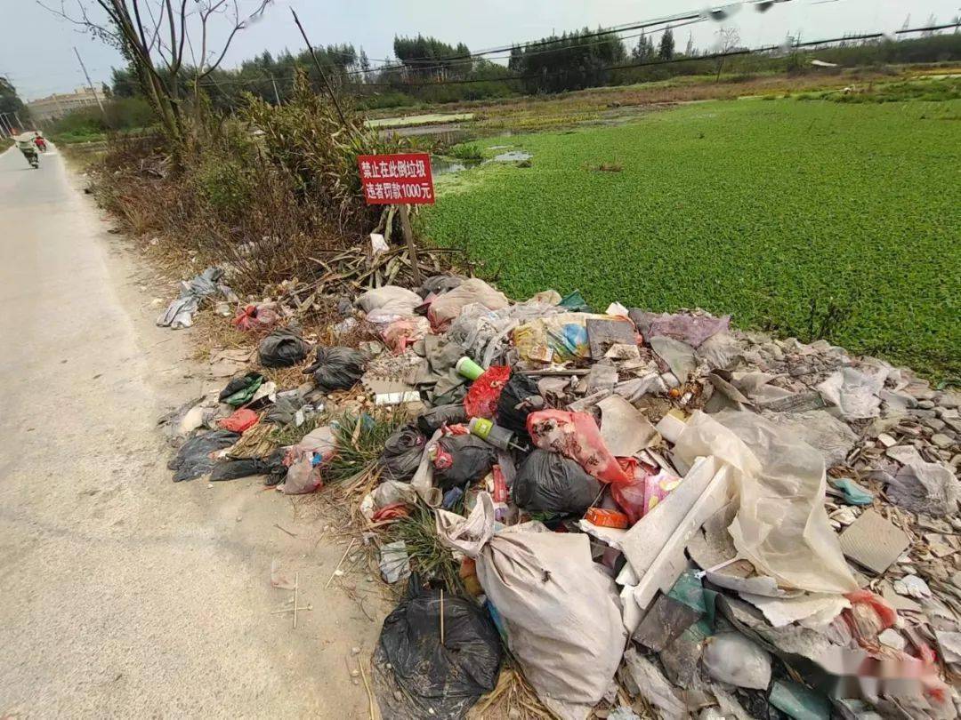 大家都知道現在正值春季,各種流行病傳染病很容易滋生,亂倒垃圾這個