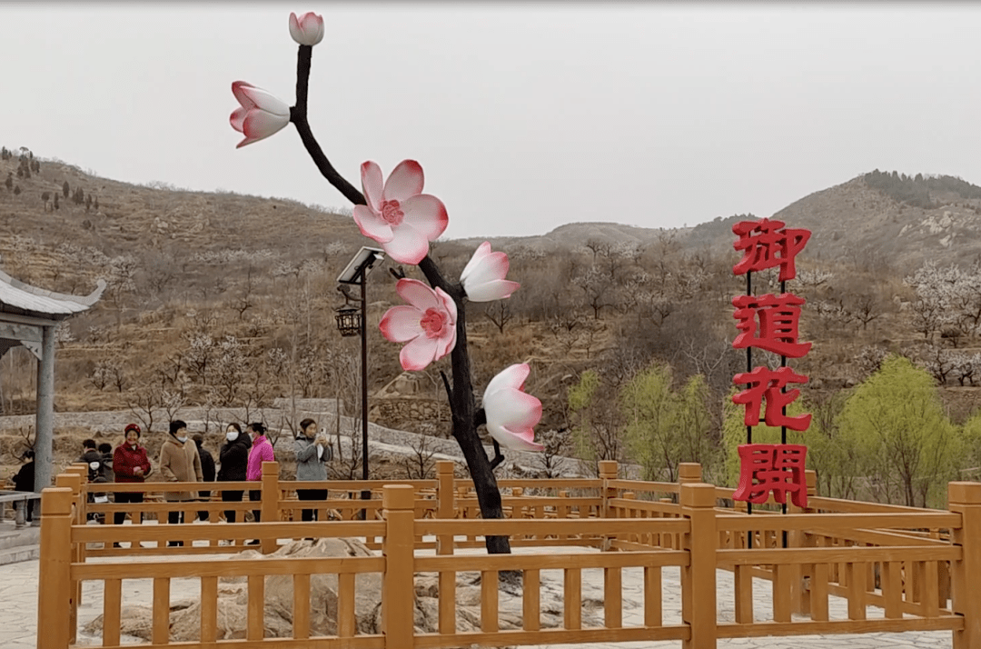 赏花合理时！一路领略花开长清