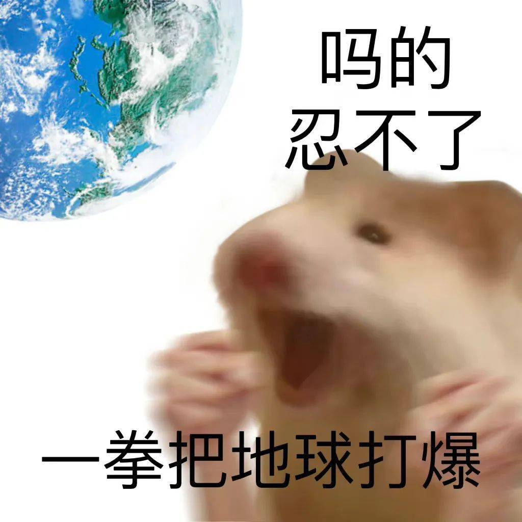 表情包鼠鼠表情包