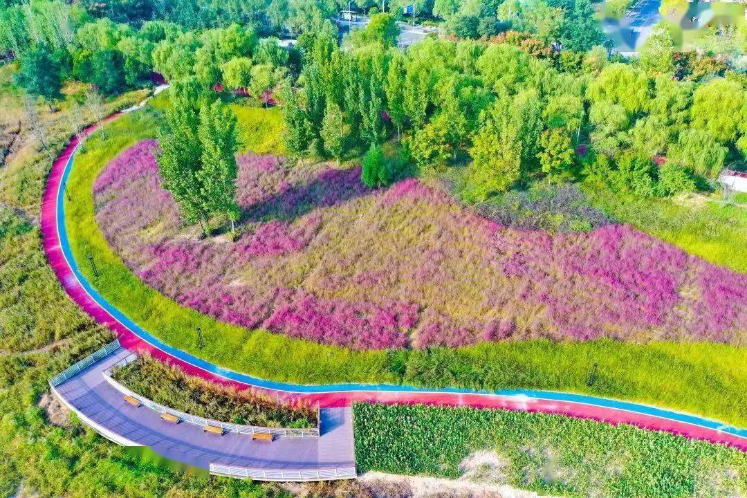 灞桥生态湿地公园,鲸鱼沟风景区自然优美;白鹿原,洪庆山茂林修竹,已