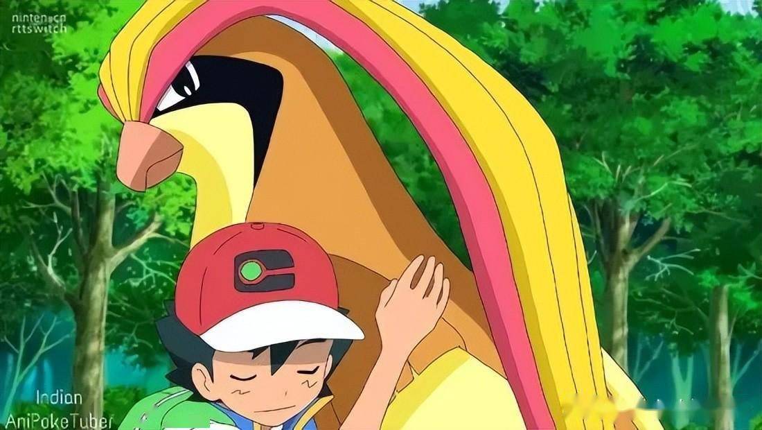 《宝可梦》动画小智终于和比雕再见面!