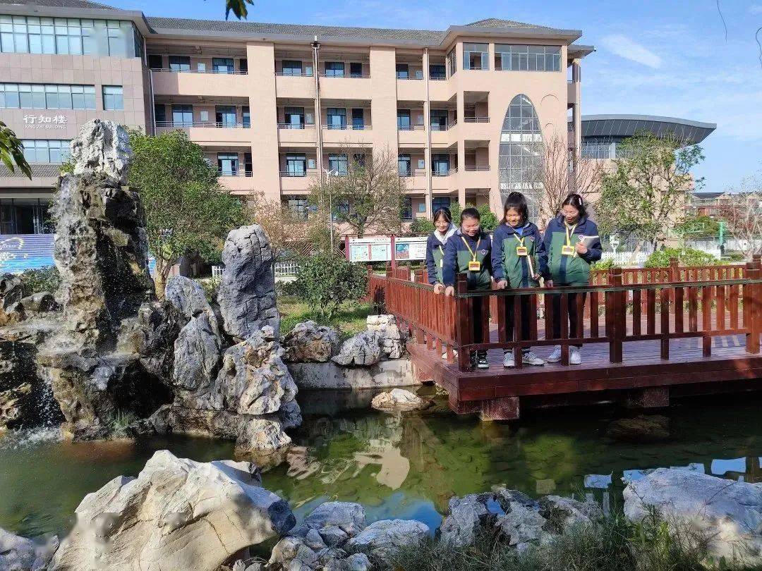秀洲区王店镇中学浙江师范大学附属高照实验学校秀洲现代实验学校上外