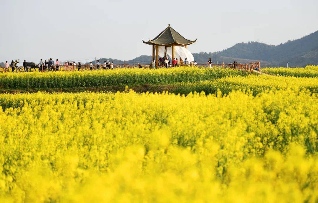 瑞昌_武蛟乡_旅客