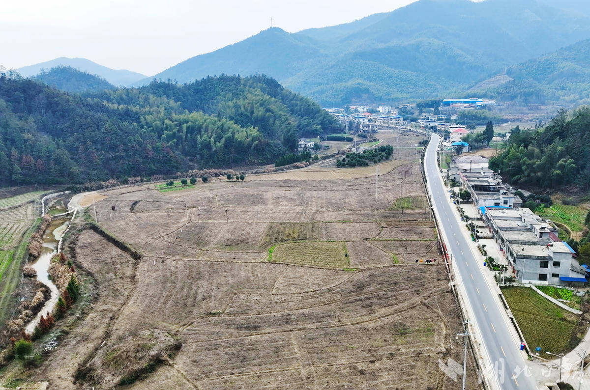 崇阳县桂花泉镇东源村:中药材种植开出致富"良方"_农户_收入_集体经济