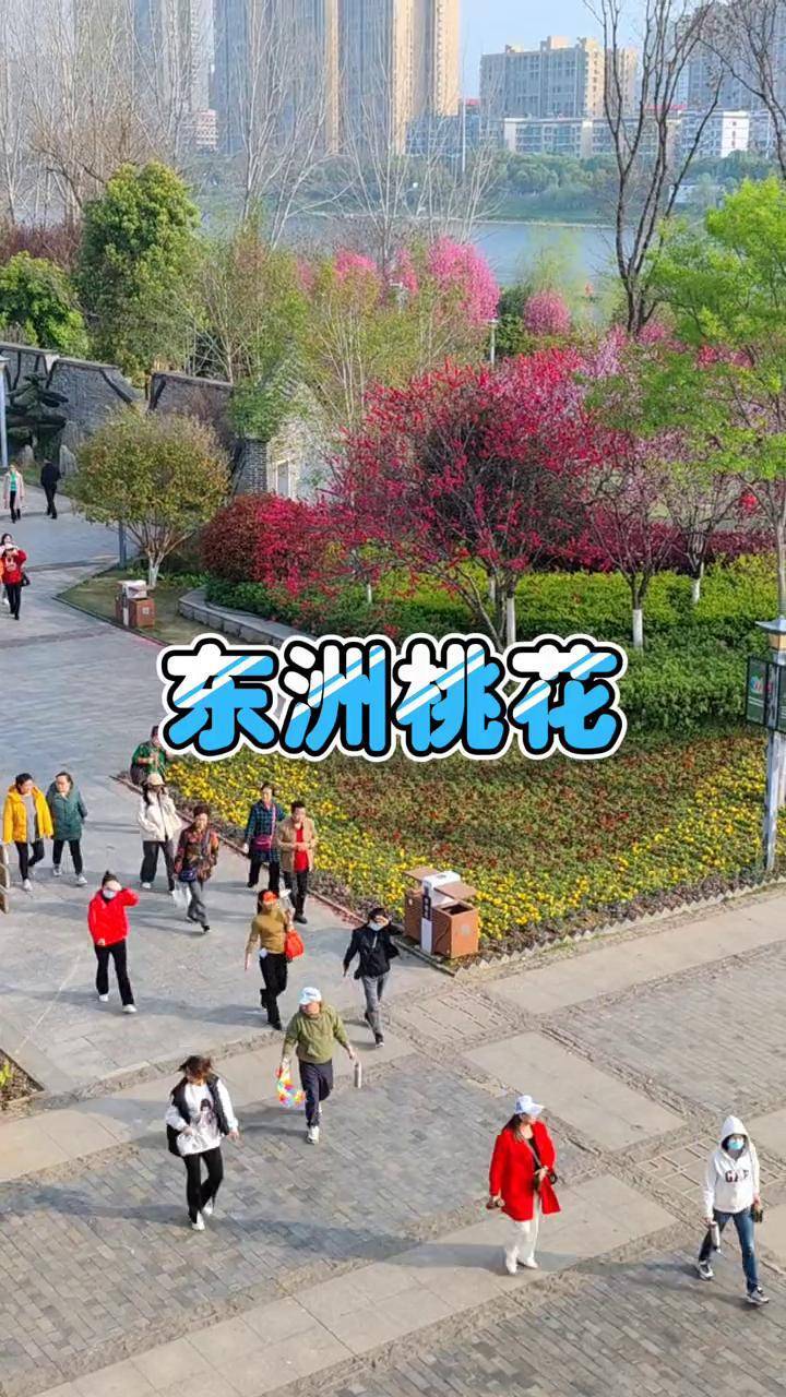 衡阳东洲岛桃花图片