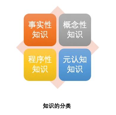 对中国教育的拷问