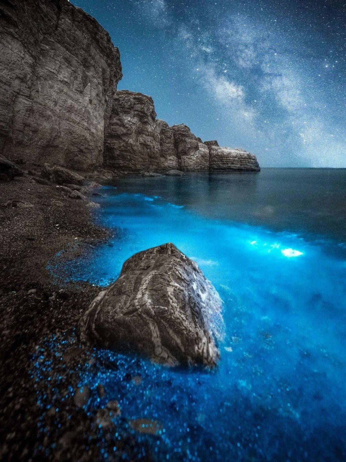 注意!蓝色荧光海已经进入高发期_大黑石_大连_景观