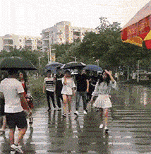 雨伞界的劳斯劳斯，值！_特价_雨天_反光