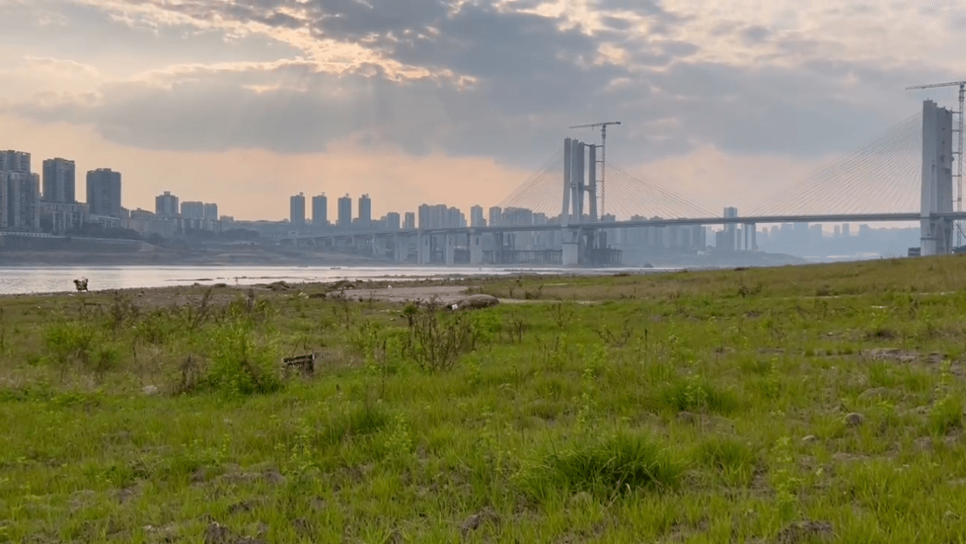 黄桷坪九渡口你一定要去_李家沱_帐篷_广场