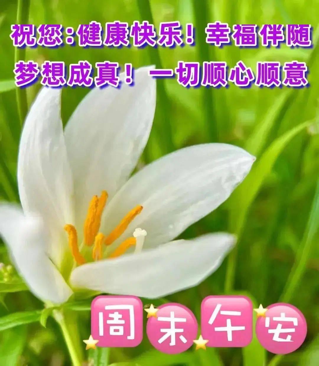 周四;最新问候祝福图片带字文字温馨_日子_开心_因为