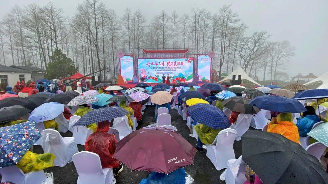 山山茶花賞花周啟動儀式在丹水之畔的龍池山風景區山茶花園如期舉行