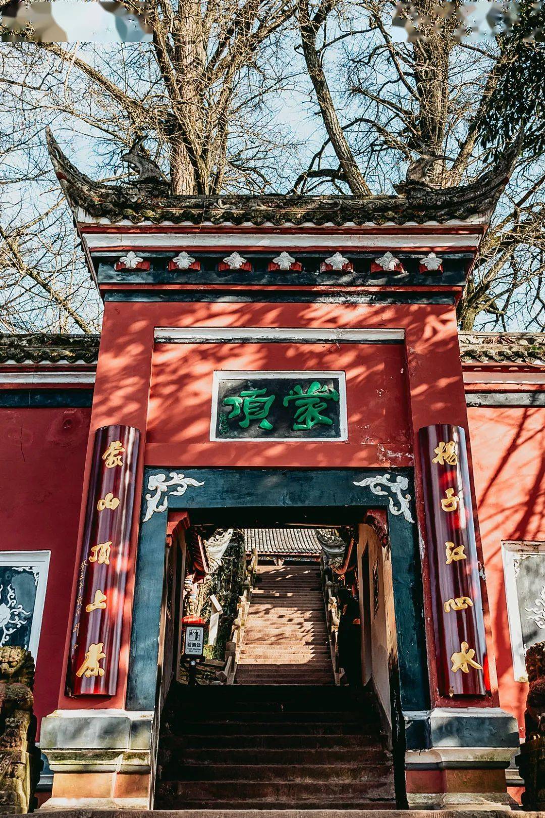 中国哪间寺庙的禅茶最好(líng)喝(yàn)?_天心_柏林禅寺_视觉