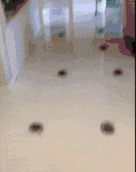 搞笑GIF：还愣着干啥，趁大伙没发现，赶紧放回去啊_老妈_女友_小美