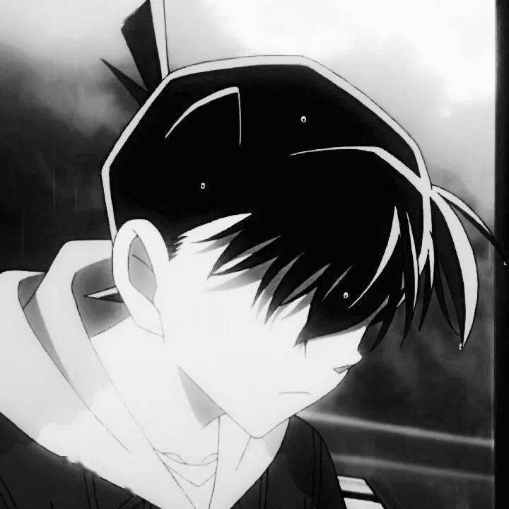 柯南头像&背景图 | 超多超喜欢的100多张柯南头像合集系列,你会爱上的