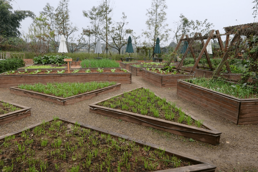 投资少回收快的小农场,该如何做?_休闲_景区_乡村