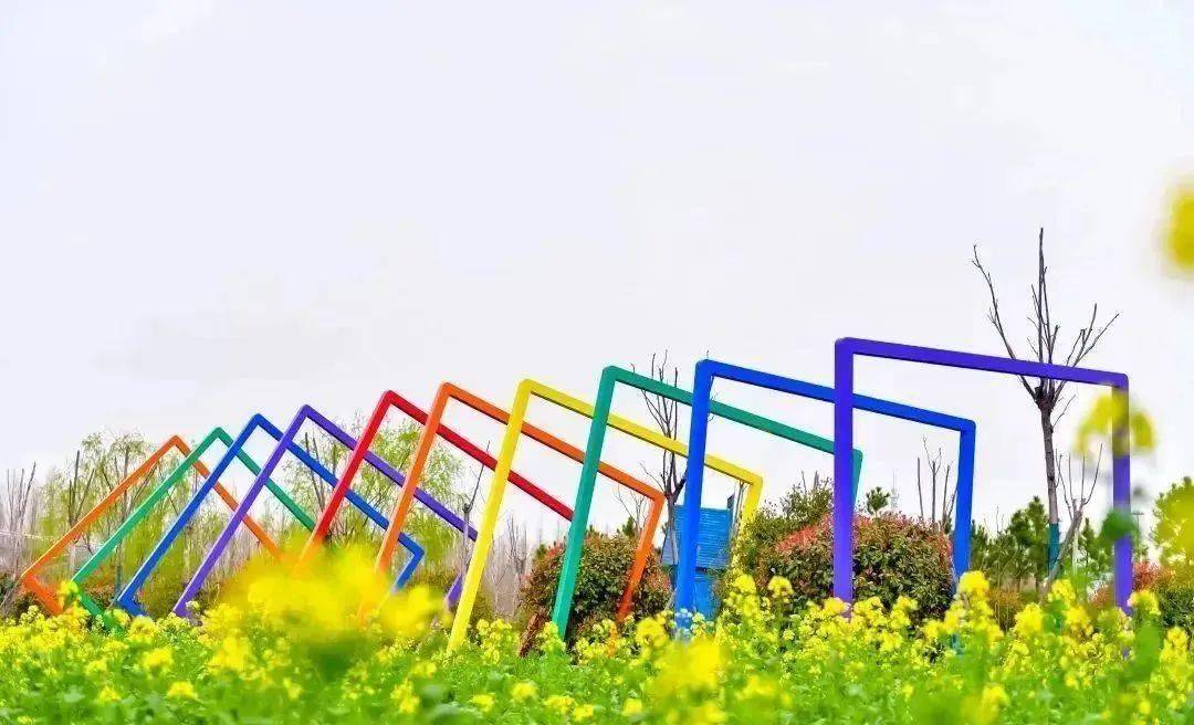 有空的时候就来奉贤欣赏油菜花,感受田园风光吧～绝对不虚此行!