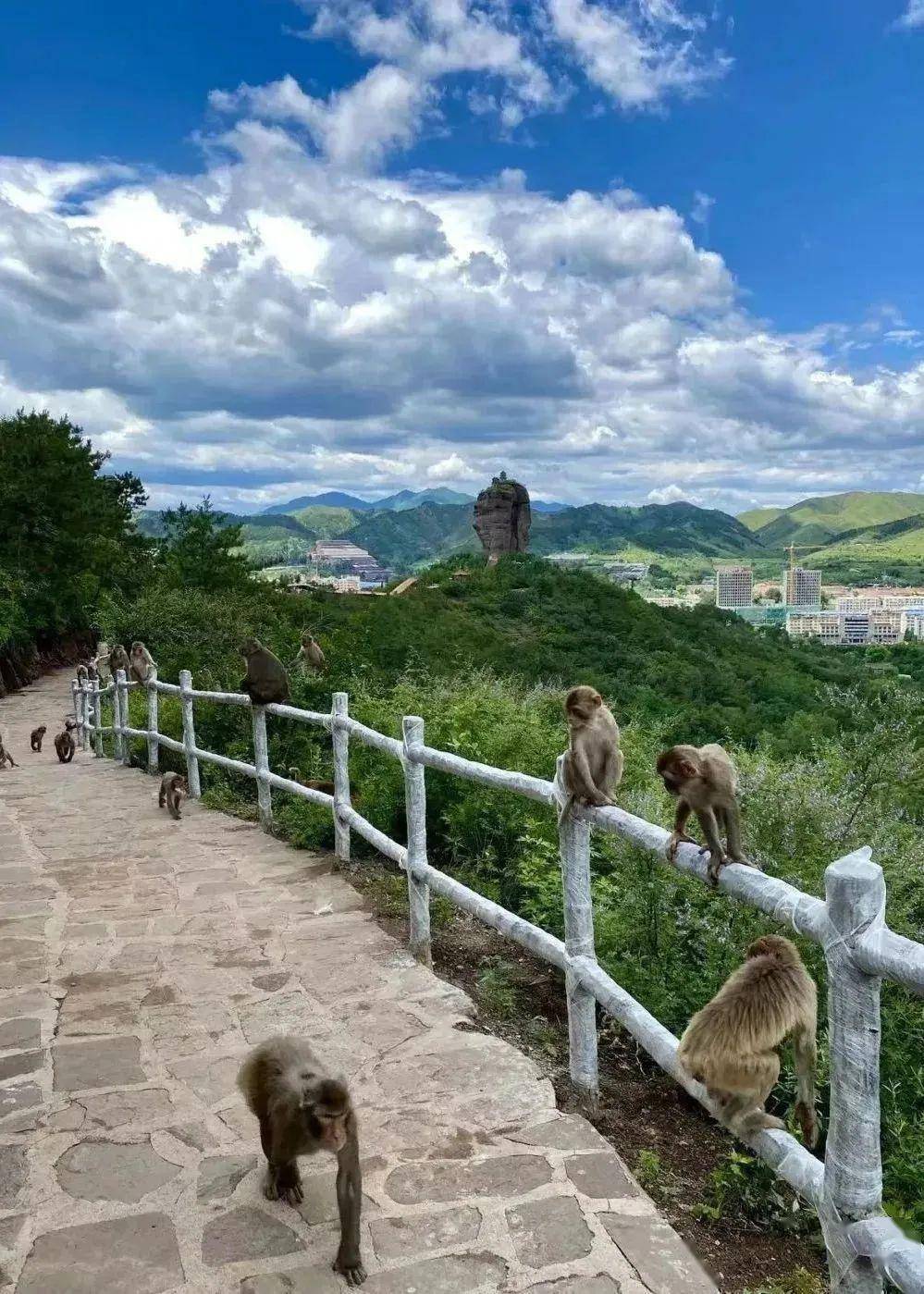 双塔山风景区年票办理图片