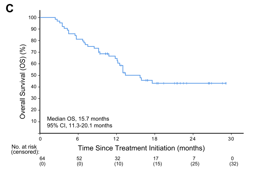 ���й�����������������ڡ���ǿ�����Ŷ����ֳɹ����� ...