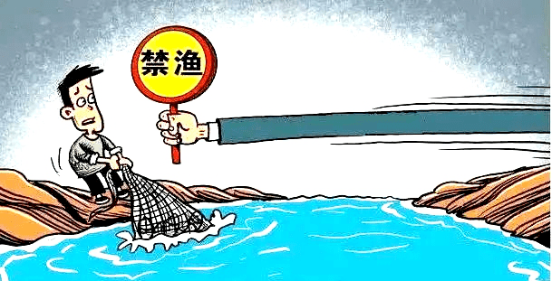 等41处水库湖泊进入禁渔期,禁止除娱乐性垂钓以外的所有渔业捕捞作业