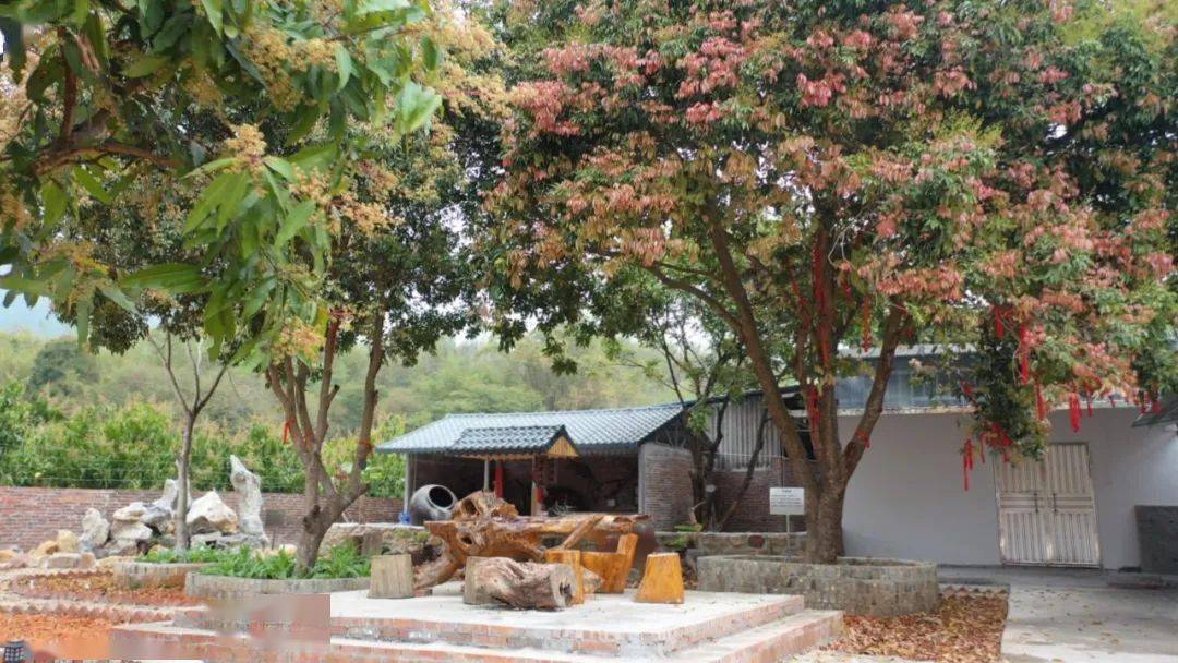 【乡村振兴】冷坑镇农家乐,"围炉煮茶"凭啥火出圈?_文化_发展_怀集