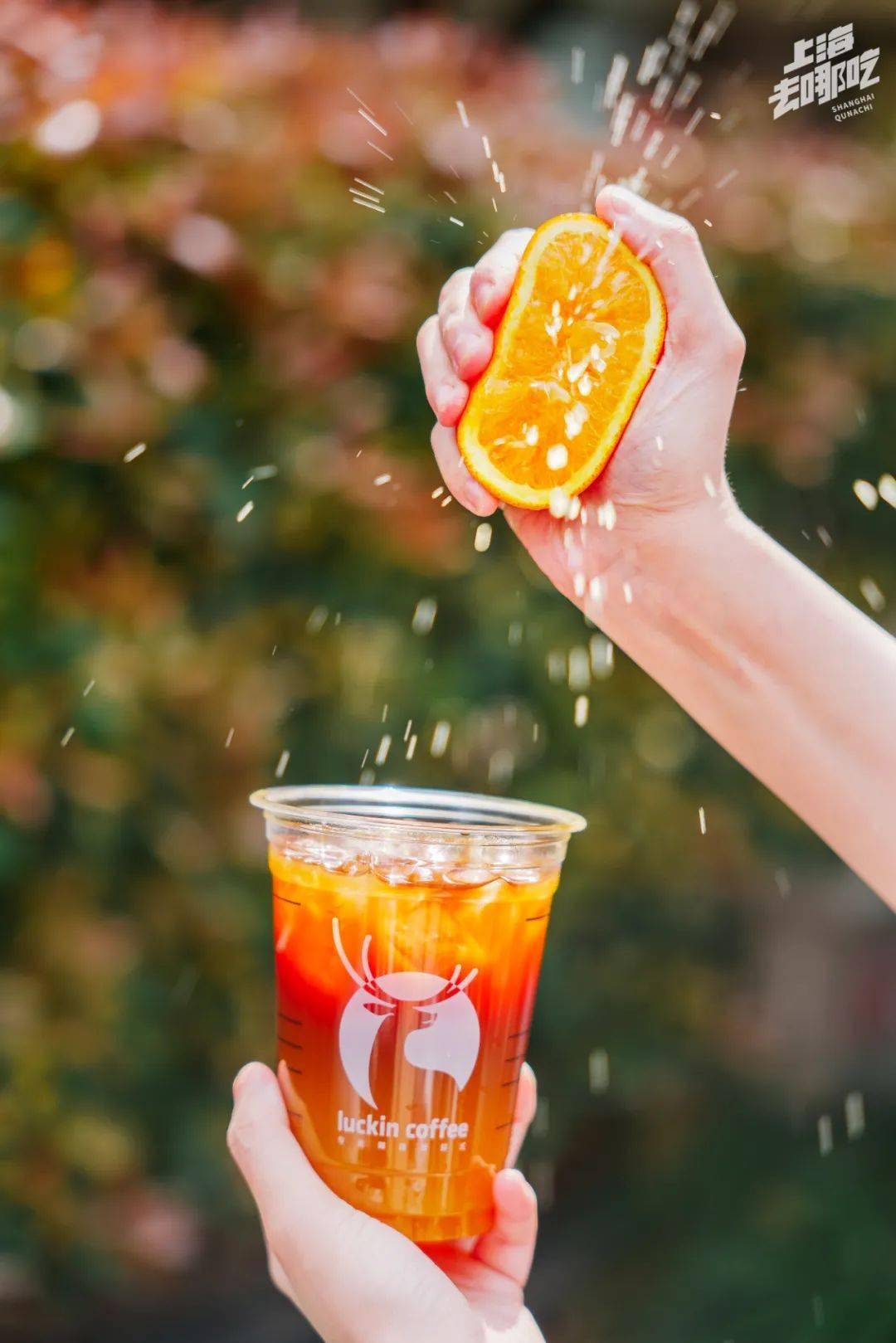 瑞幸这杯ins「落日橘子海」滤镜,只有80大卡!_橙汁_橙子_黑金