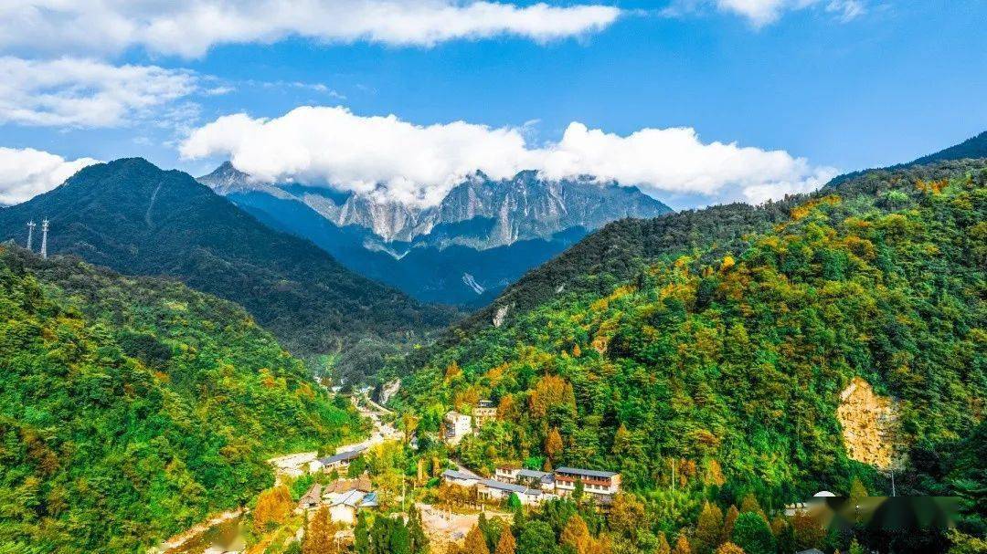 李家岩水库工程最新进展来了!_崇州_枇杷_建设