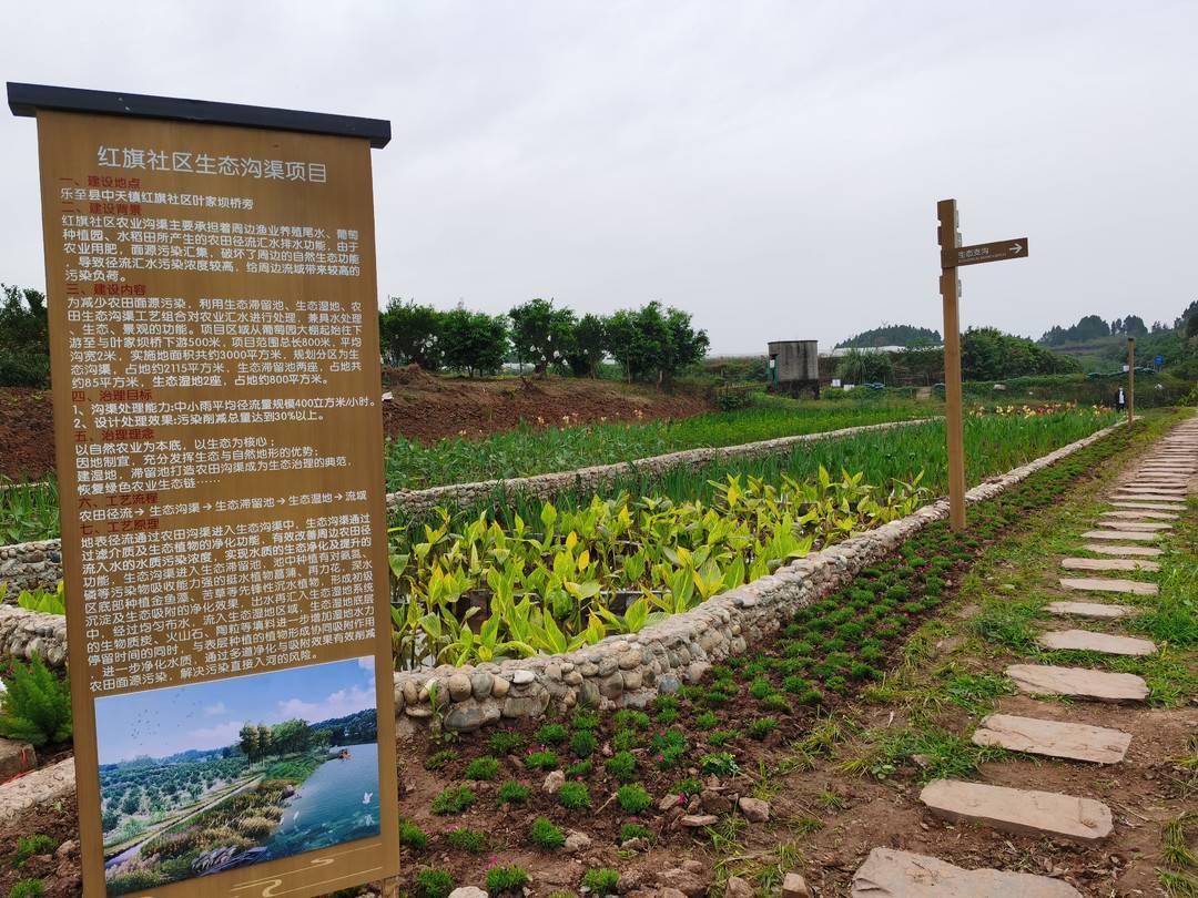 生态沟渠绕田园 四川乐至缺水更护水