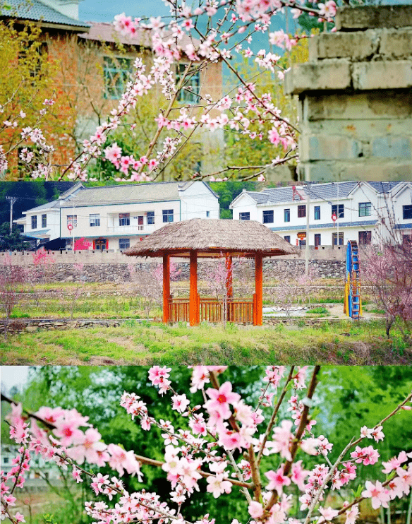 房县窑淮镇:村庄"蝶变"展新颜 美丽乡村入画来_陈家铺_环境_庭院