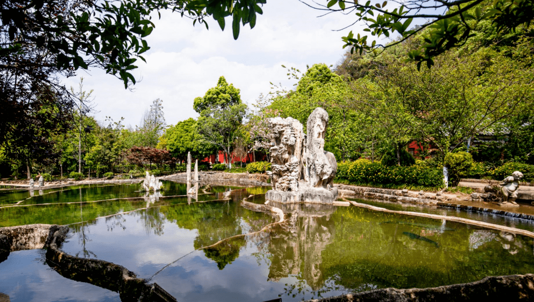 昆明丰泽园植物园图片图片