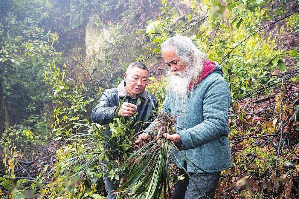 安仁县陈赞文图片