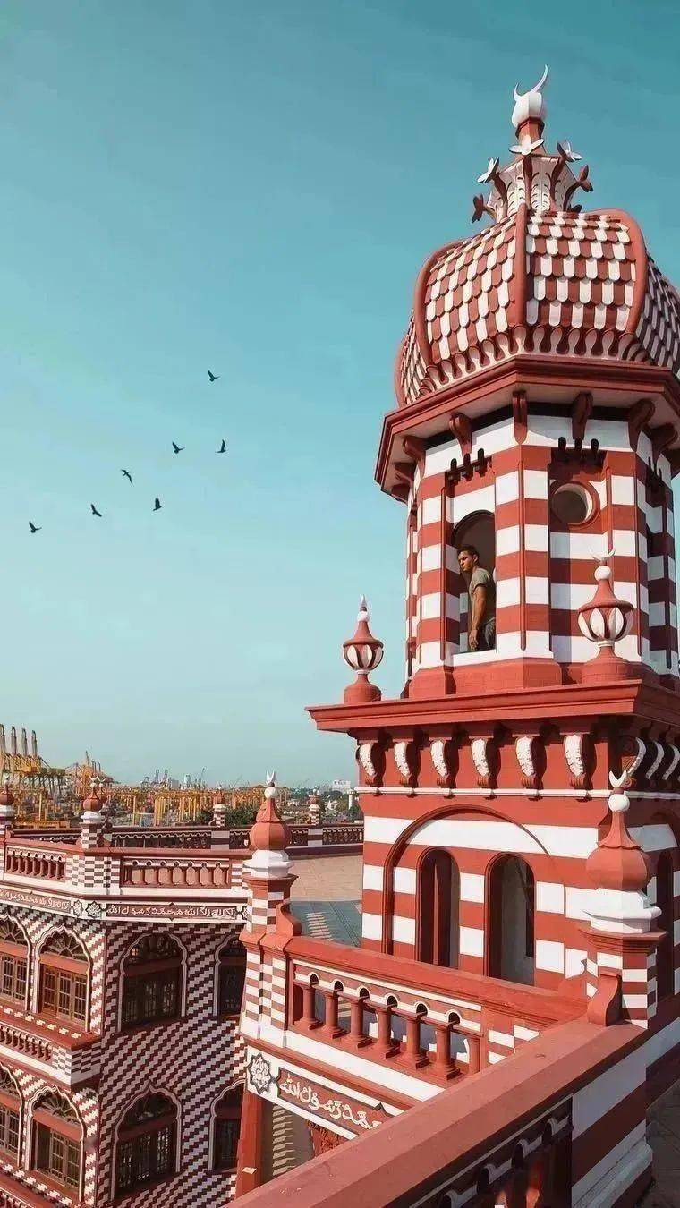 加勒_海龟_教学