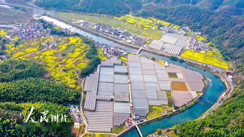 2023年3月28日,浙江省杭州市淳安县枫树岭镇下姜村,盎然春色铺满大地