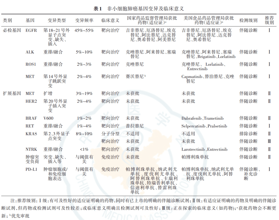 尤其是肺腺癌患者,這個群體中有50%-60%的患者會有驅動基因突變[1]