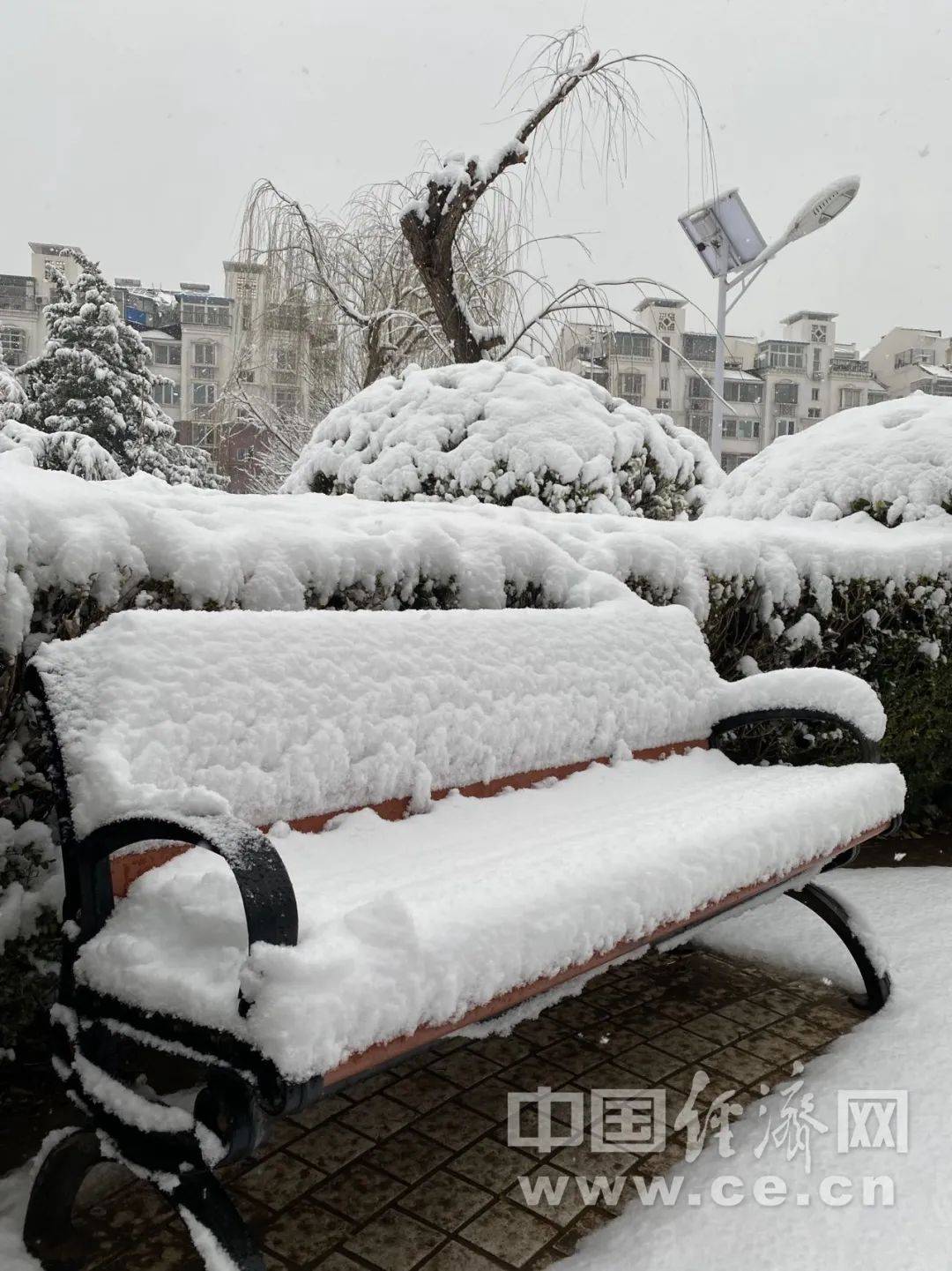 厚衣服别收！今年以来最强雨雪来袭！ 冷空气 地区 气温