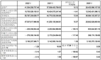 新凤鸣集团股份有限公司2022年度陈述摘要