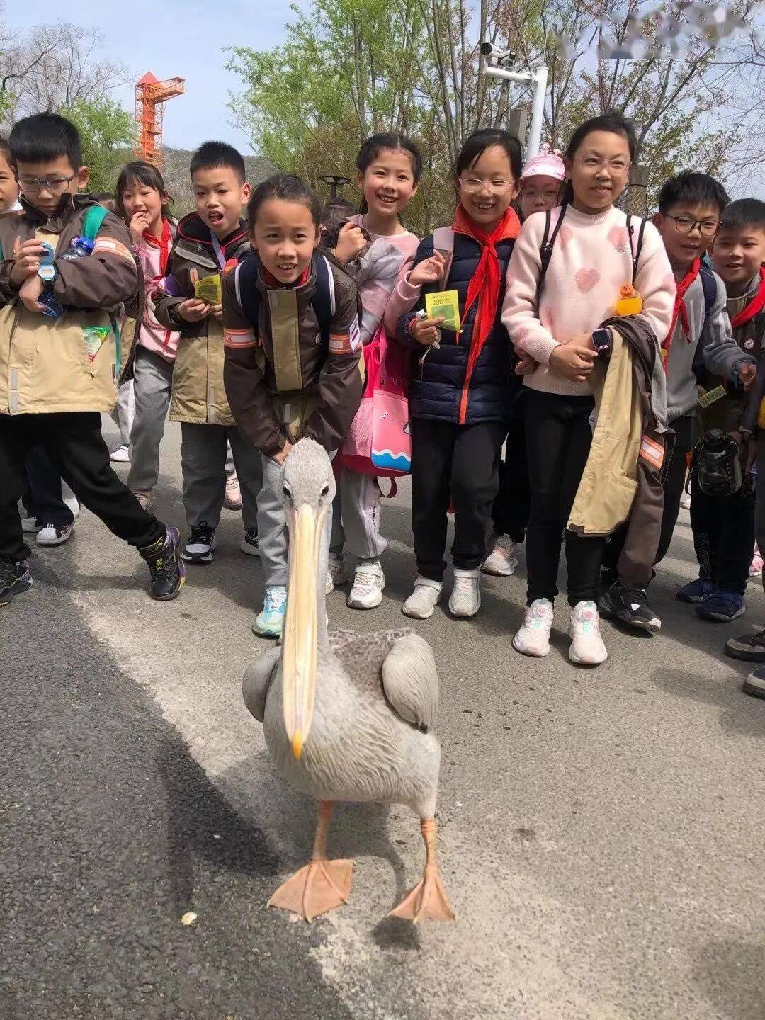 附海量照片看看有没有你家孩子
