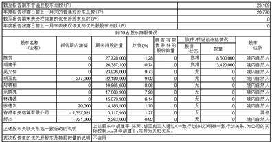 杭州电魂收集科技股份有限公司2022年度陈述摘要