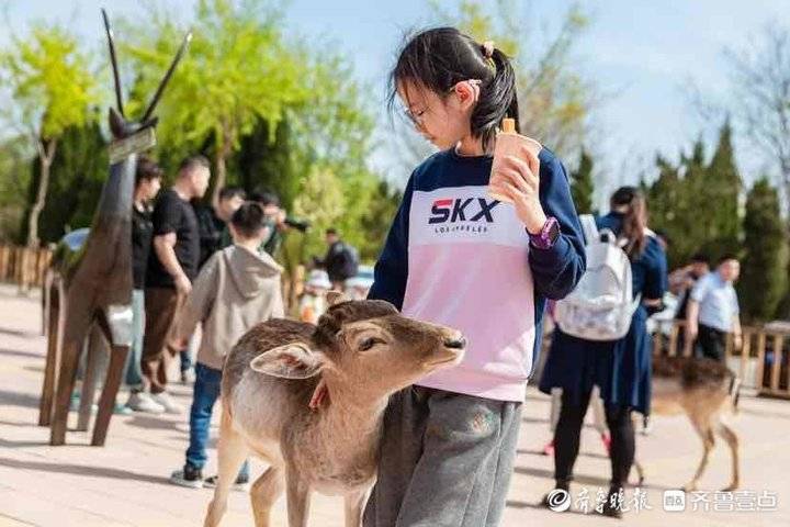 相约春日假期，来动物世界与心爱萌宠一路“露营”探险