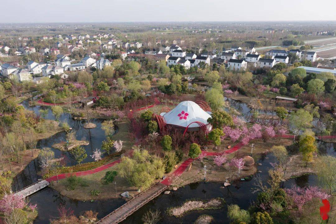 快来崇明打卡_三星镇_朱怡婷_张志豪