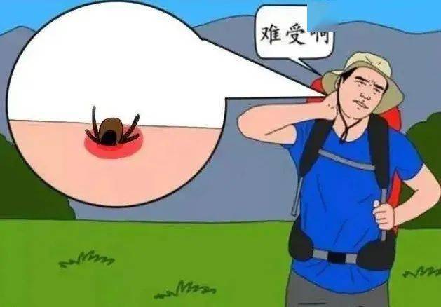 可维持数小时;用氯菊酯,驱虫剂等浸泡或喷洒衣服和帐篷等露营装备