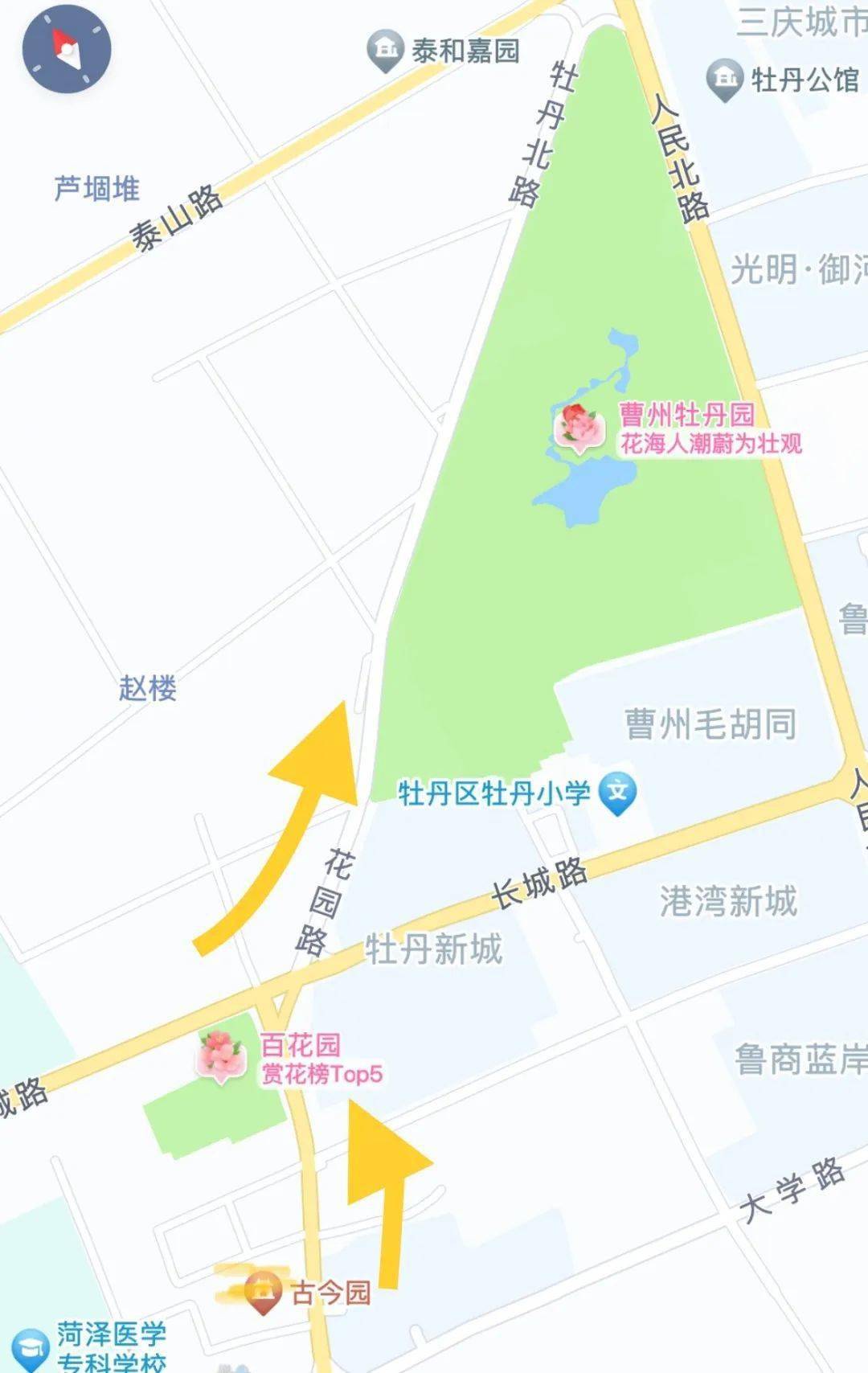 来菏赏花市内交通方式,路线都为你整理好了_菏泽_游客_牡丹节