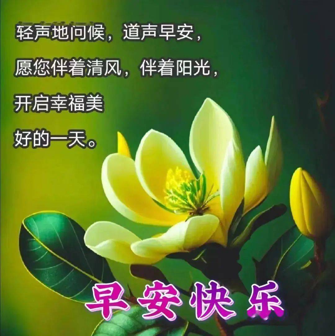 阳光洒下温暖