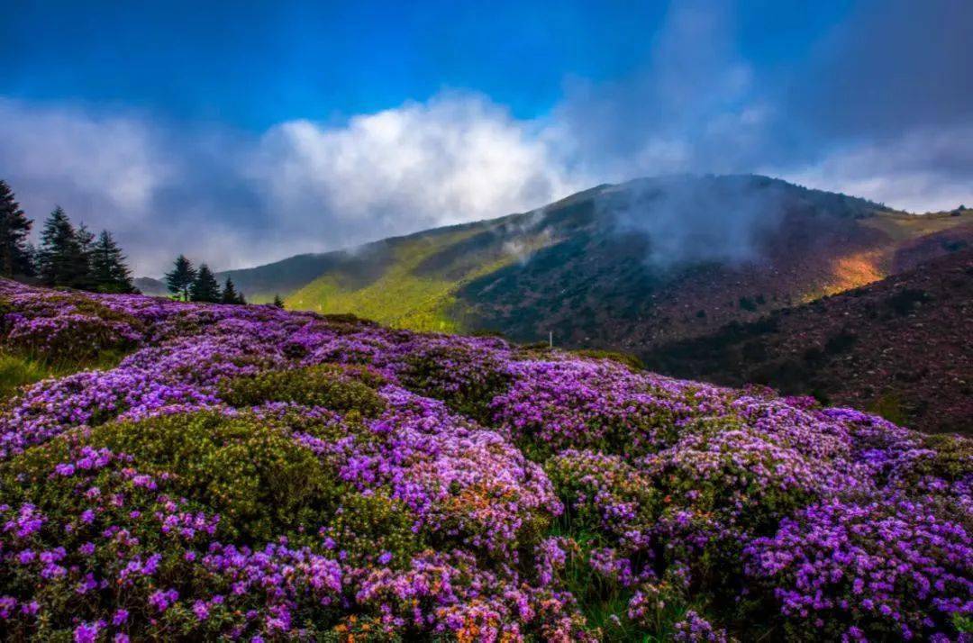 5月,走进隐秘的大凉山,在索玛花盛开的地方,过云上的日子!