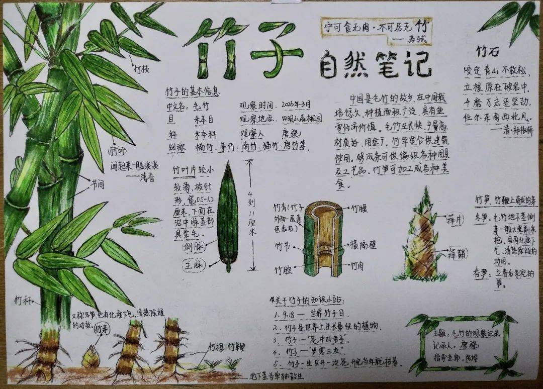 仲春自然笔记征集活动获奖公示