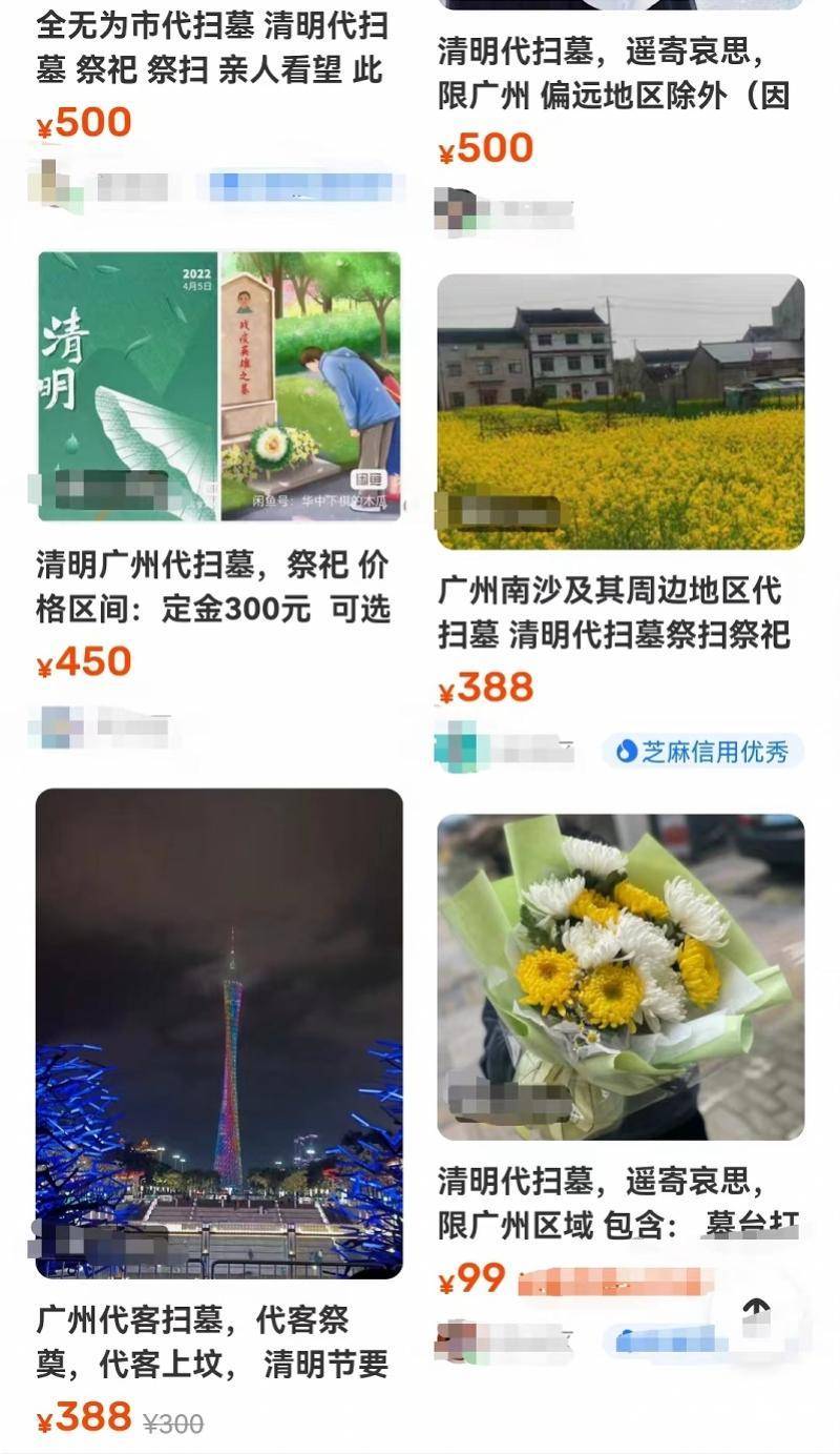 全国正规代怀公司（清明代扫服务“降温”！广州部分公墓取消代扫，私人代扫降价）