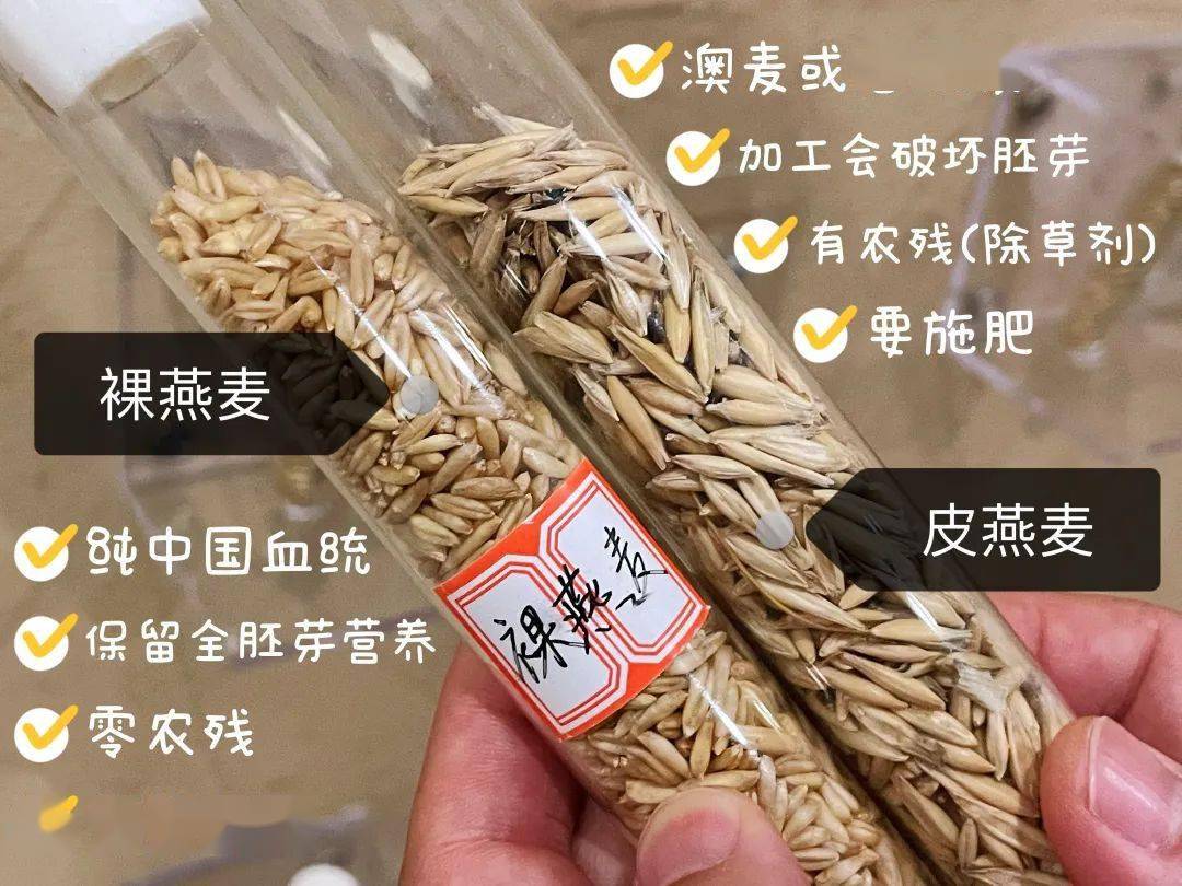 很多人不知道,燕麦分为裸燕麦和皮燕麦,它们的区别在于:鉴于食品安全