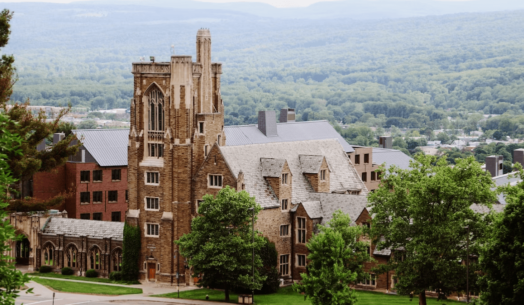 2023夏学术在线—康奈尔大学经济与金融线上学术课程项目_教学_进行